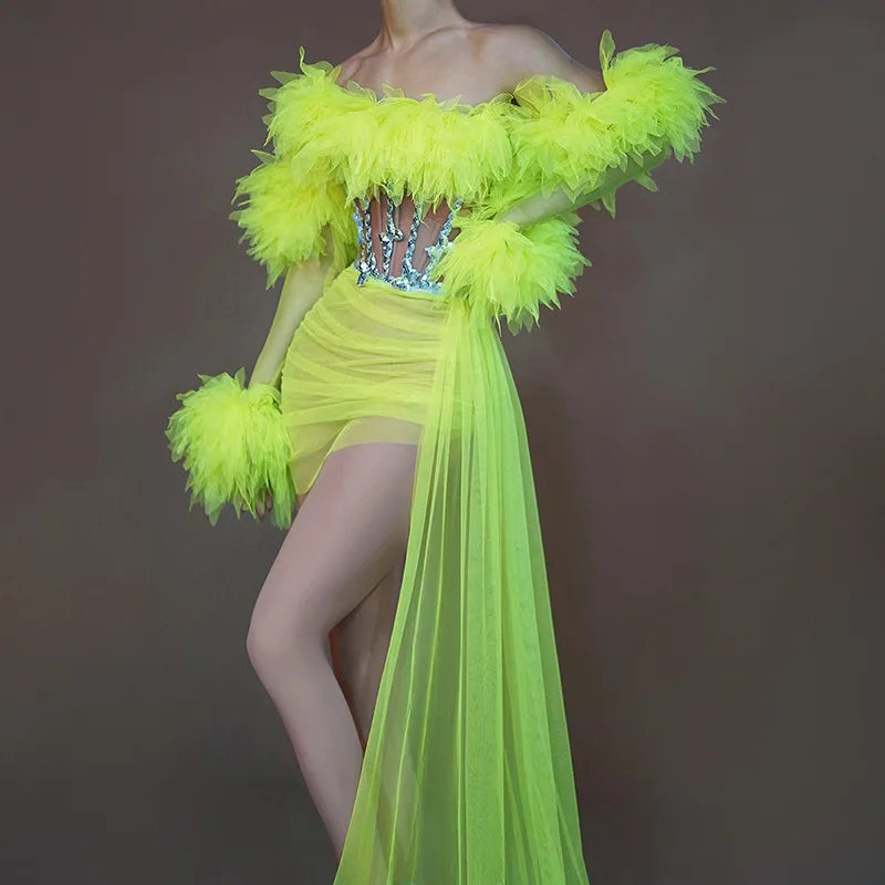 See Thru Feather Dress