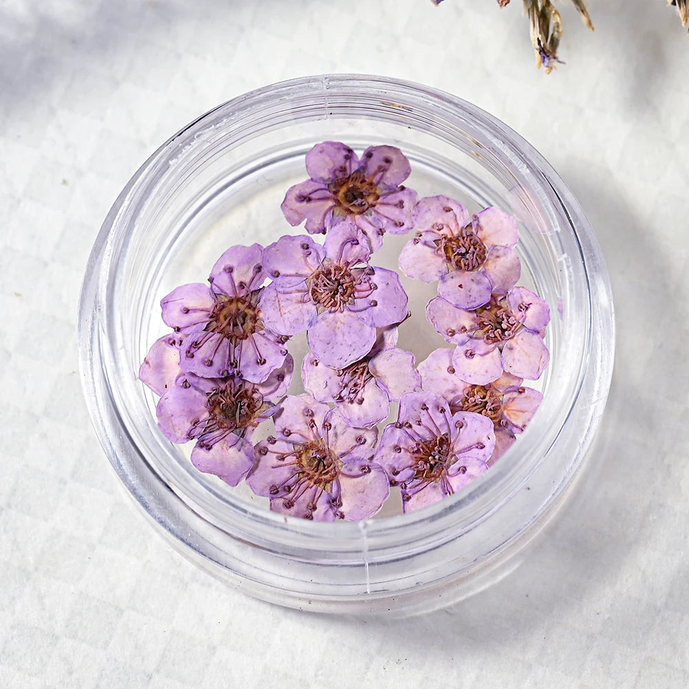 16Color Dried Flower Nail Art Decoration Mini Real Natural Daffodil Flower Nail Art Supplies 3D Dry Flowers Manicure DIY Design*