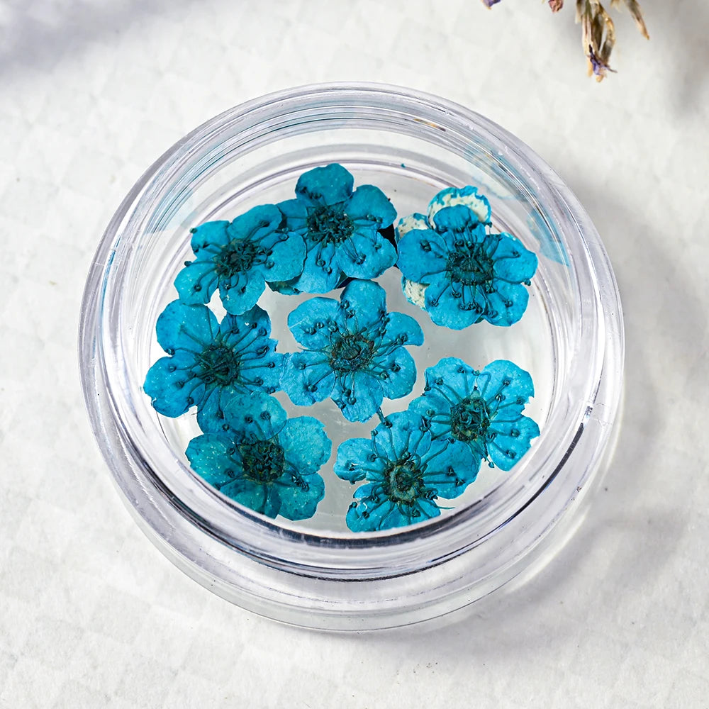 16Color Dried Flower Nail Art Decoration Mini Real Natural Daffodil Flower Nail Art Supplies 3D Dry Flowers Manicure DIY Design*
