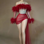 See Thru Feather Dress