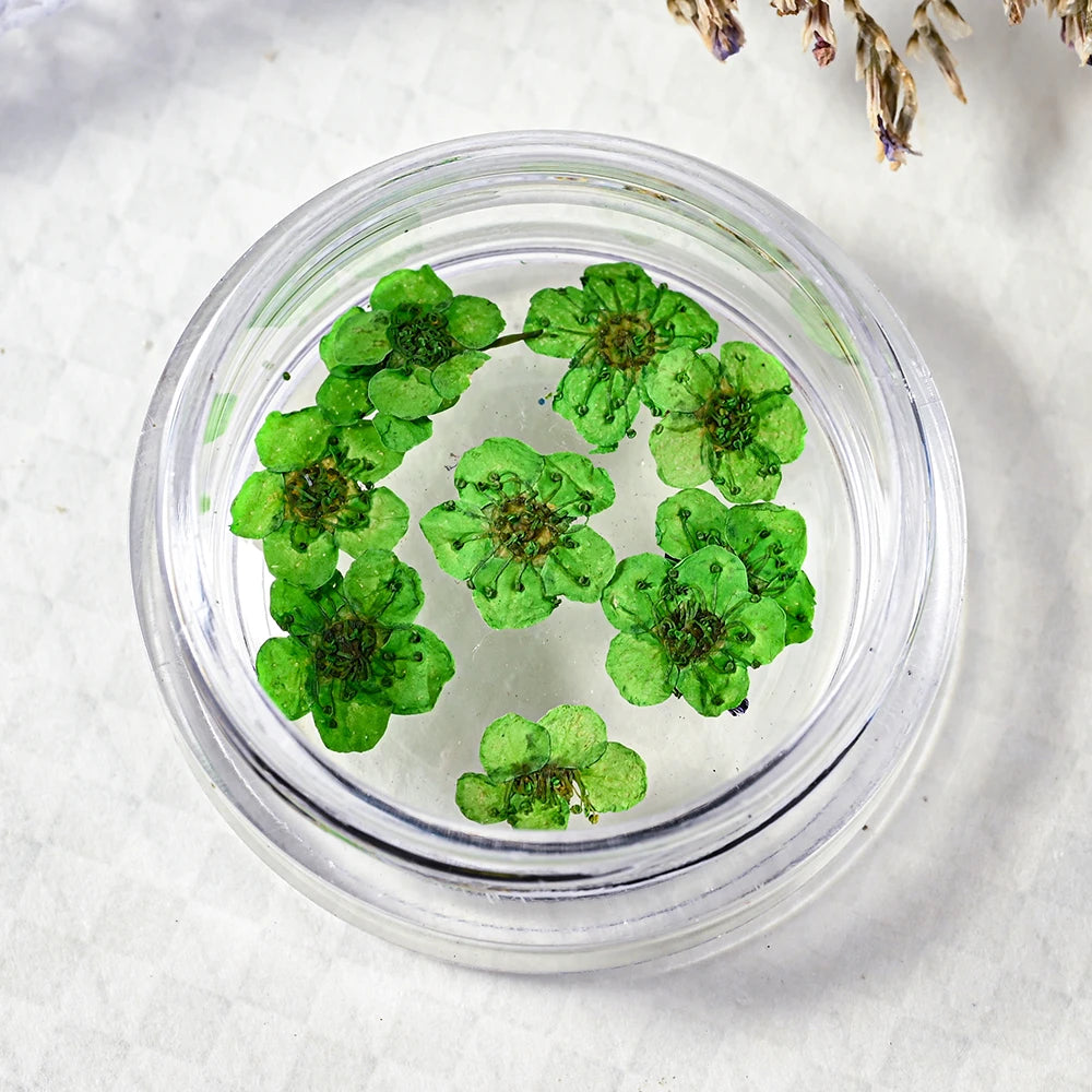 16Color Dried Flower Nail Art Decoration Mini Real Natural Daffodil Flower Nail Art Supplies 3D Dry Flowers Manicure DIY Design*