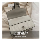 Snake Pattern Chain Small Square Bag