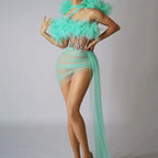 See Thru Feather Dress