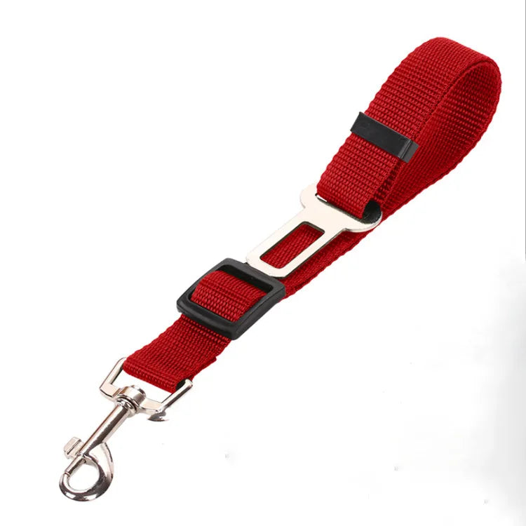 Car Seat Belt