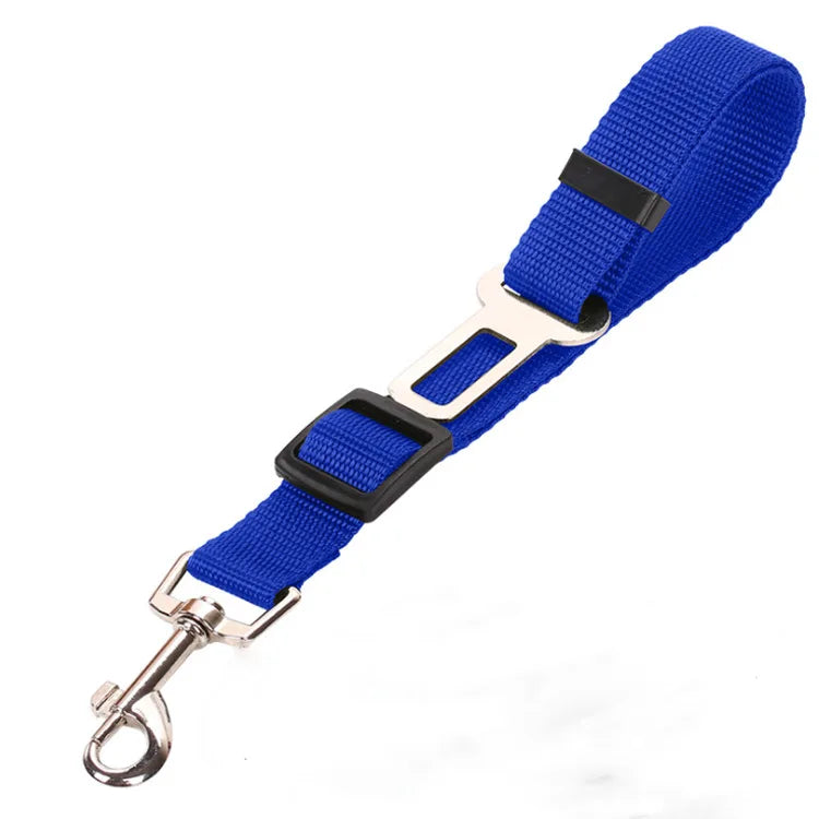 Car Seat Belt