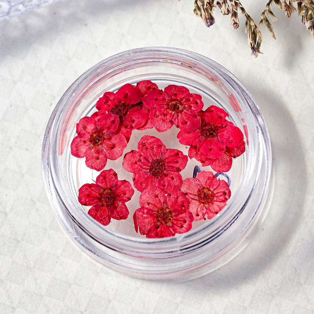 16Color Dried Flower Nail Art Decoration Mini Real Natural Daffodil Flower Nail Art Supplies 3D Dry Flowers Manicure DIY Design*