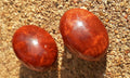 Vintage California Redwood Clip On Stud Earrings