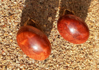 Vintage California Redwood Clip On Stud Earrings